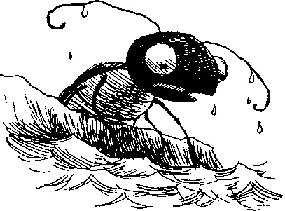 Элен широко раскрыла глаза от страха Черепаха плавает и ныряет уже совсем - фото 58