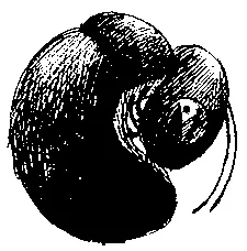 Мальчик тяжело вздохнул и опустился в кресло у стола Я тоже не хочу его - фото 72