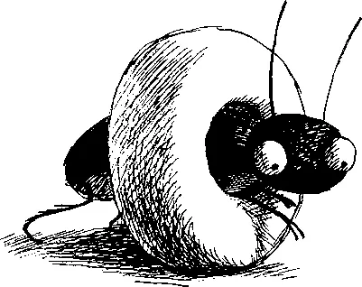 В конце концов из динамика раздался звуковой сигнал и женский голос объявил - фото 77