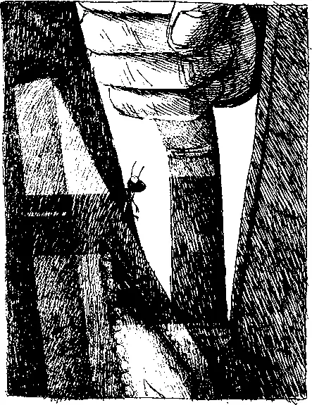 Коротышка решительно вынул рисунок в рамке из мешка и положил лицом вниз - фото 78