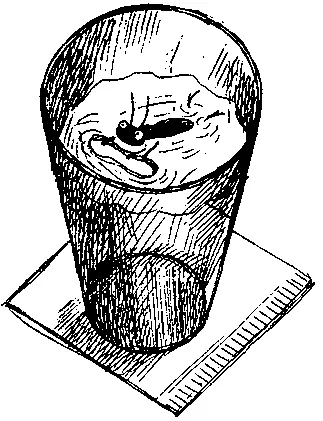 Немного позже Марвин освеженный ночным купанием вскарабкался по мокрой стенке - фото 83