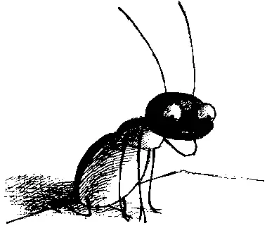 Марвин выбрался на стол и устроился в чудесной близости от рисунков Он был в - фото 90