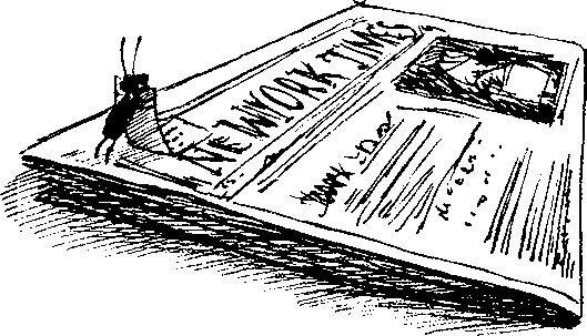 Марвин пополз по газете Надо както отодрать наклейку Осторожно чтобы не - фото 92