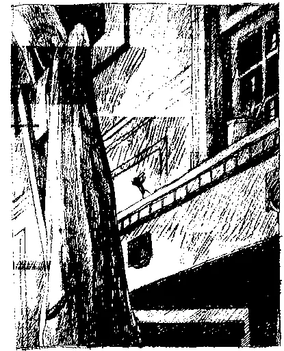 Марвин высунулся изпод газеты стараясь не пропустить ни слова Почему - фото 93