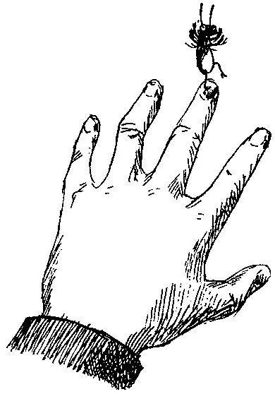 Марвин в восторге вернулся на кончик пальца А это не опасно встревоженно - фото 96