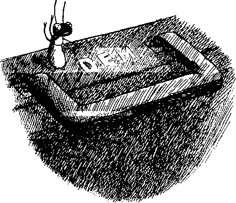 Ну чего ты снова завелся изумился Джеймс Успокойся что еще стряслось - фото 104