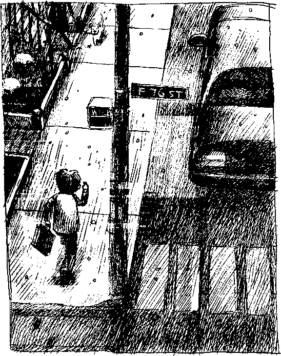 Он не останавливаясь бежал всю дорогу до музея шлепая кроссовками по мокрому - фото 107