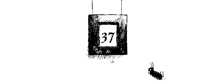 Талант Джеймса Странная маленькая группка появилась в галерее графики музея - фото 115