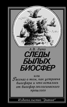 Андрей Лапо Следы былых биосфер, или Рассказ о том, как устроена биосфера и что осталось от биосфер геологического прошлого обложка книги