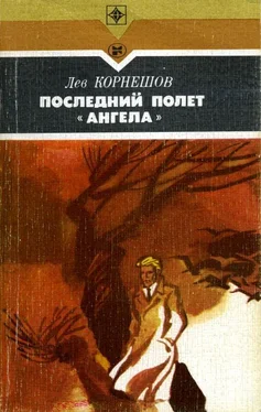 Лев Корнешов Последний полет «Ангела» обложка книги