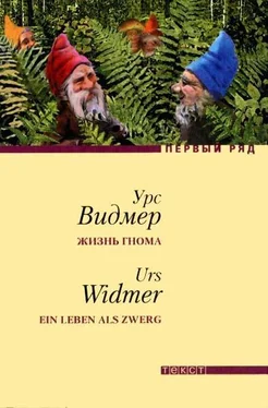 Урс Видмер Жизнь гнома обложка книги