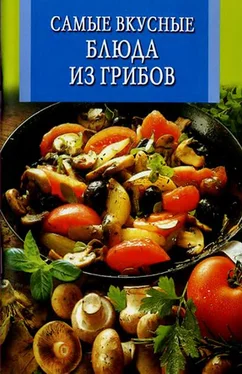 Л Бушуева Самые вкусные блюда из грибов обложка книги