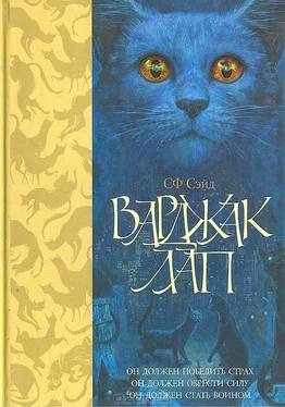 СФ Сейд Варджак Лап обложка книги