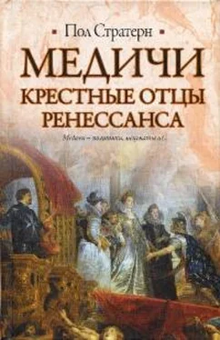 Пол Стратерн Медичи. Крестные отцы Ренессанса обложка книги