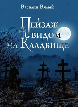 Василий Вялый Пейзаж с видом на кладбище обложка книги