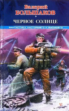 Валерий Большаков Черное солнце обложка книги