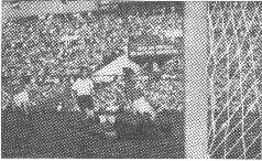 1955 год Московский стадион Динамо Сборная СССР побеждает чемпиона мира - фото 8