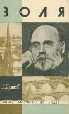 Александр Пузиков Золя обложка книги