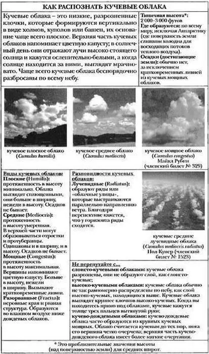 Кучевое облако на латыни звучит как cumulus что значит куча проще говоря - фото 6