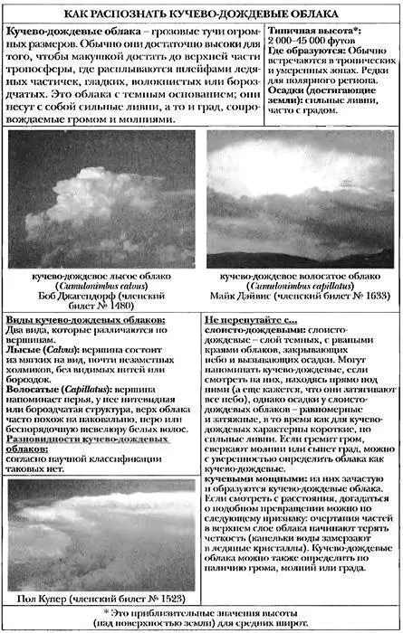 Однако на мой взгляд такое прозвище не отражает истинную сущность - фото 21