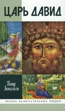 П. Люкимсон Царь Давид обложка книги