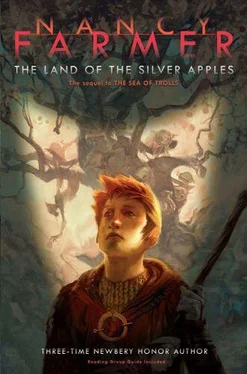 Nancy Farmer The Land of the Silver Apples обложка книги
