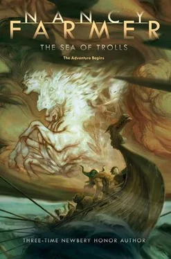 Nancy Farmer The Sea of Trolls обложка книги