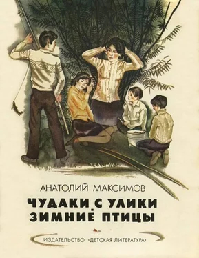 Анатолий Максимов Чудаки с Улики. Зимние птицы обложка книги