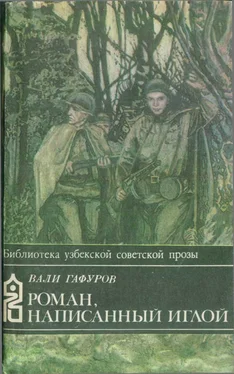 Вали Гафуров Роман, написанный иглой обложка книги