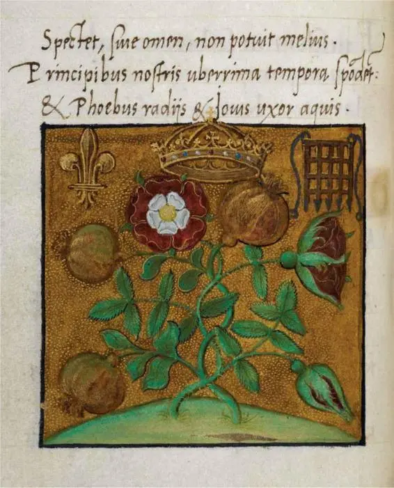 13 From Thomas Mores coronation verses on the rainstorm that disrupted Henry - фото 23