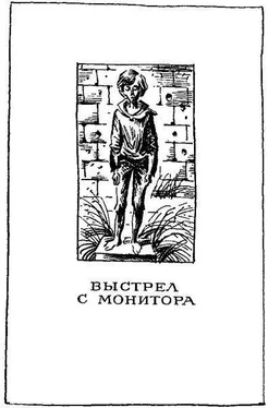 Владислав Крапивин Выстрел с монитора (сборник) обложка книги