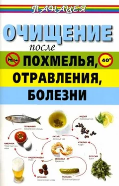 Михаил Ингерлейб Очищение после похмелья, отравления, болезни обложка книги