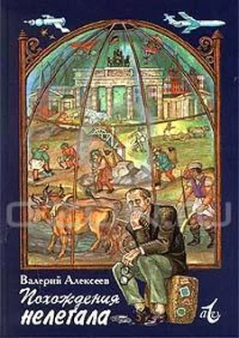 Валерий Алексеев Похождения нелегала обложка книги