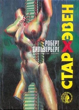 Роберт Сильверберг Стархэвен обложка книги