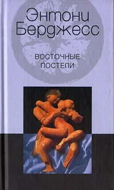 Энтони Берджесс Восточные постели обложка книги