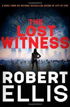 Robert Ellis The Lost Witness обложка книги