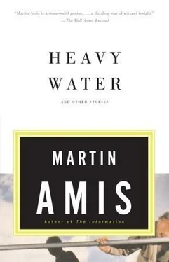 Martin Amis Heavy Water and Other Stories обложка книги