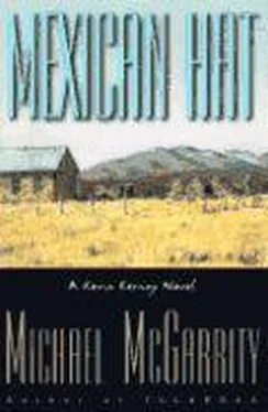 Michael McGarity Mexican Hat обложка книги