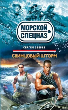 Сергей Зверев Свинцовый шторм обложка книги