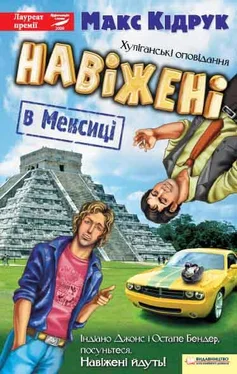 Максим Кідрук Навіжені в Мексиці обложка книги