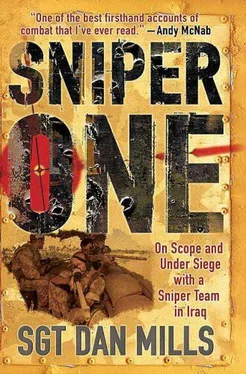 Dan Mills Sniper One обложка книги