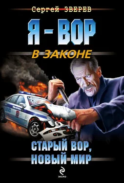 Сергей Зверев Старый вор, новый мир обложка книги