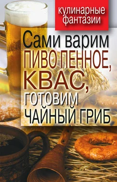 Денис Галимов Сами варим пиво пенное, квас, готовим чайный гриб обложка книги