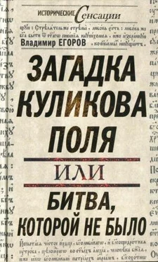 Владимир ЕГОРОВ Загадка Куликова поля, или Битва, которой не было обложка книги