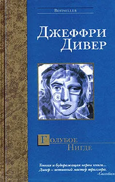 Джеффри Дивер Голубое Нигде обложка книги