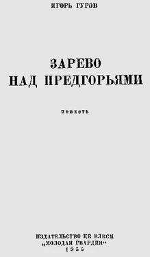 Игорь Гуров Зарево над предгорьями обложка книги