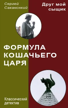 Сергей Саканский Формула Кошачьего царя обложка книги