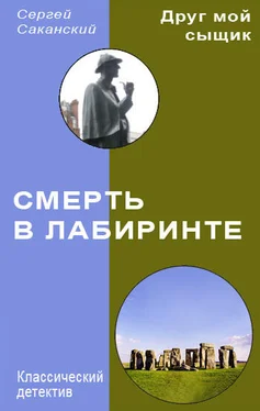 Сергей Саканский Смерть в лабиринте обложка книги