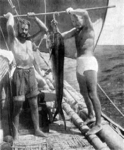 Unser tägliches Brot Dolfine schwimmen mit dem Floß über den ganzen Stillen - фото 27