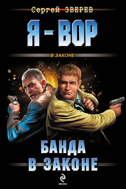 Сергей Зверев Банда в законе обложка книги